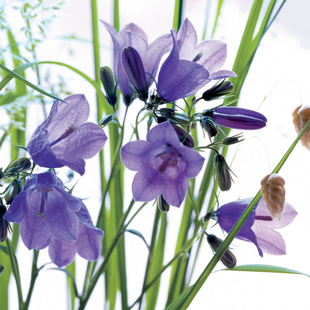 60 6040 13 60 6040 13