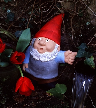 nain copie nain copie